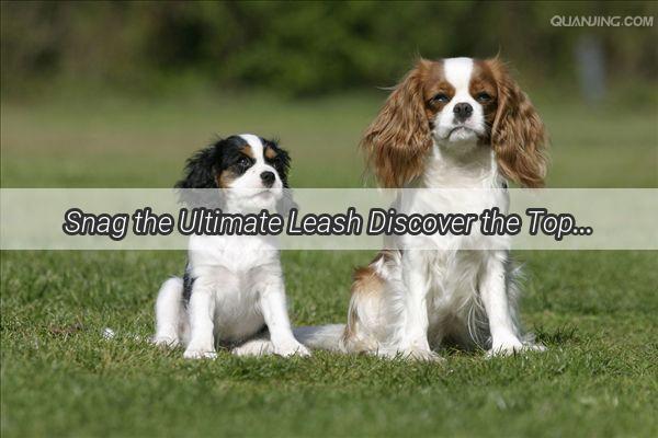 Snag the Ultimate Leash Discover the Top 5 MustHave Gadgets to Stop Your Poochs Mad Dash